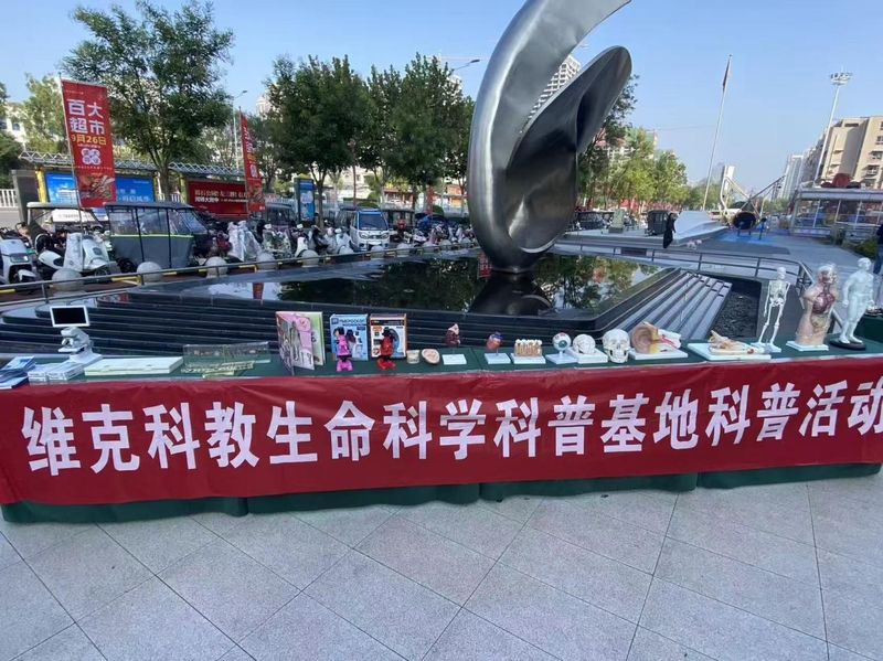 图片1