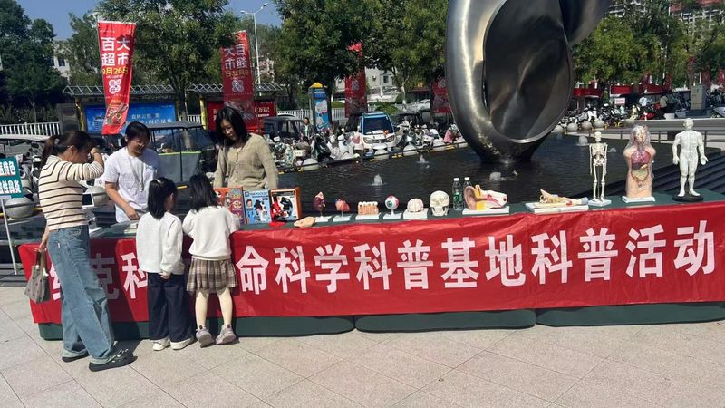 图片6